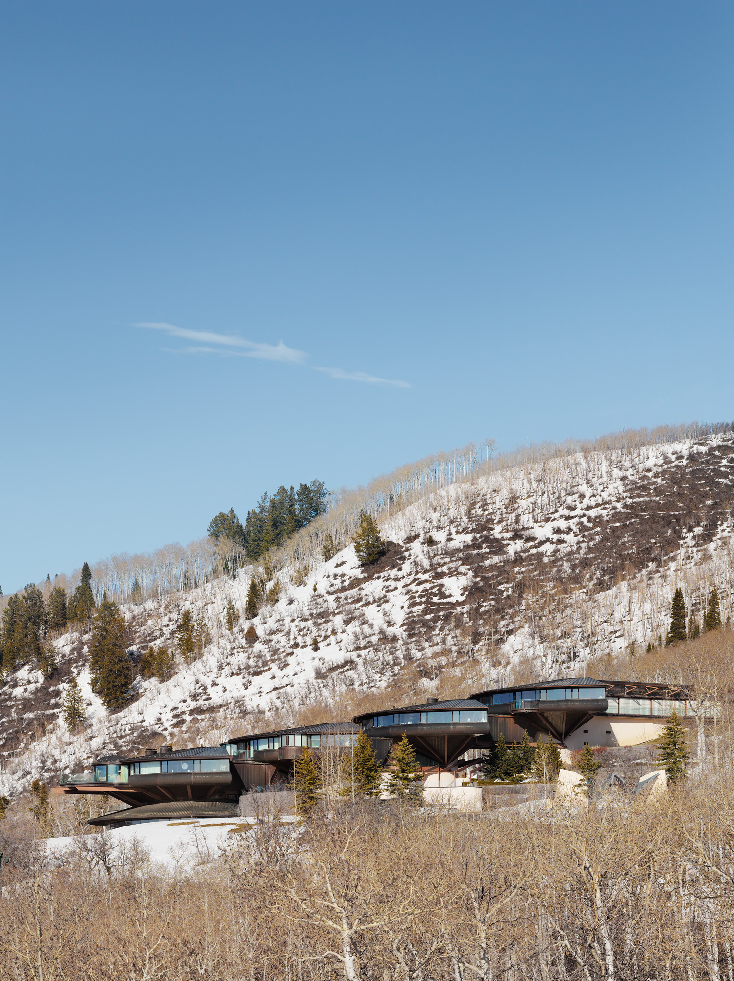 the flowing organic architecture work by Bart Prince