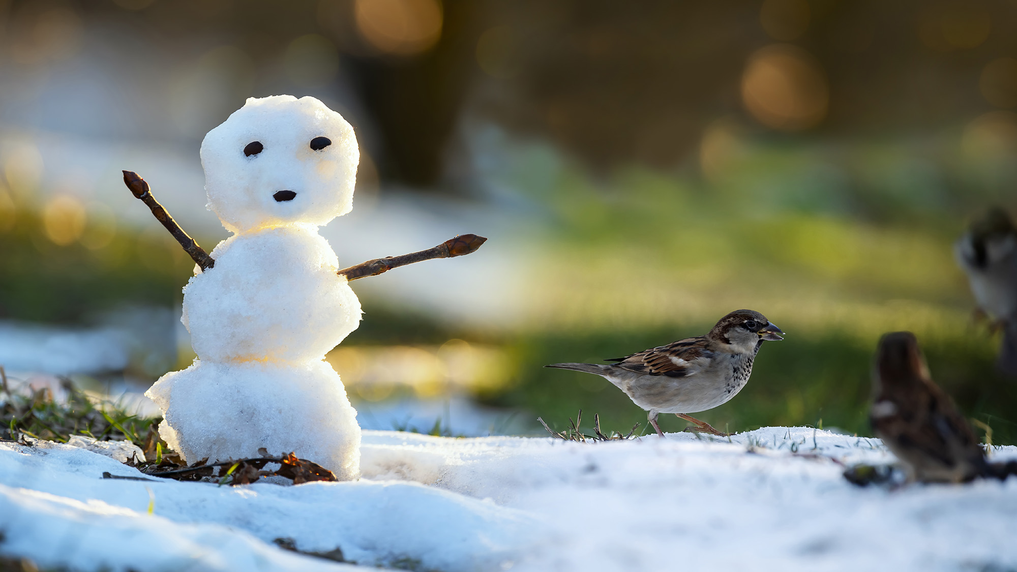 Melting snow with tiny snowman