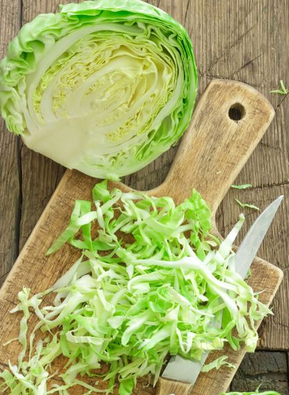 Chopped Up Tendersweet Cabbage