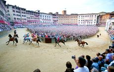 Palio.jpg