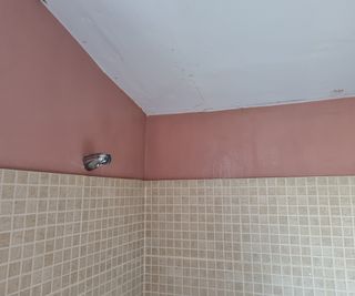 A pink bathroom wall with beige tiles recently cleaned down with anti-condensation paint