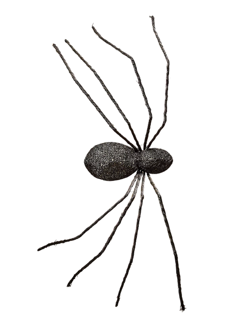 Terrain Giant Rattan Vine Spider