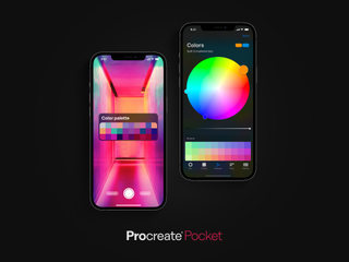 Procreate Pocket