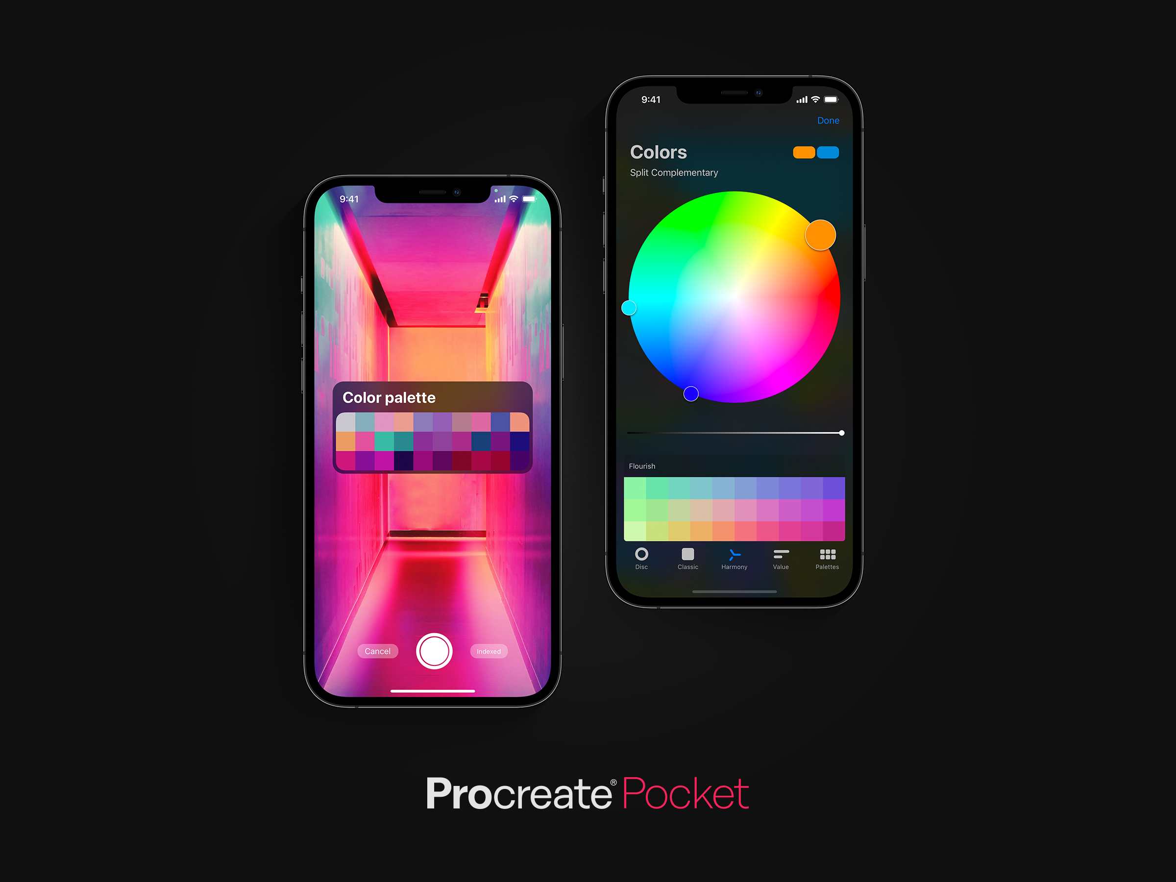 Procreate Pocket
