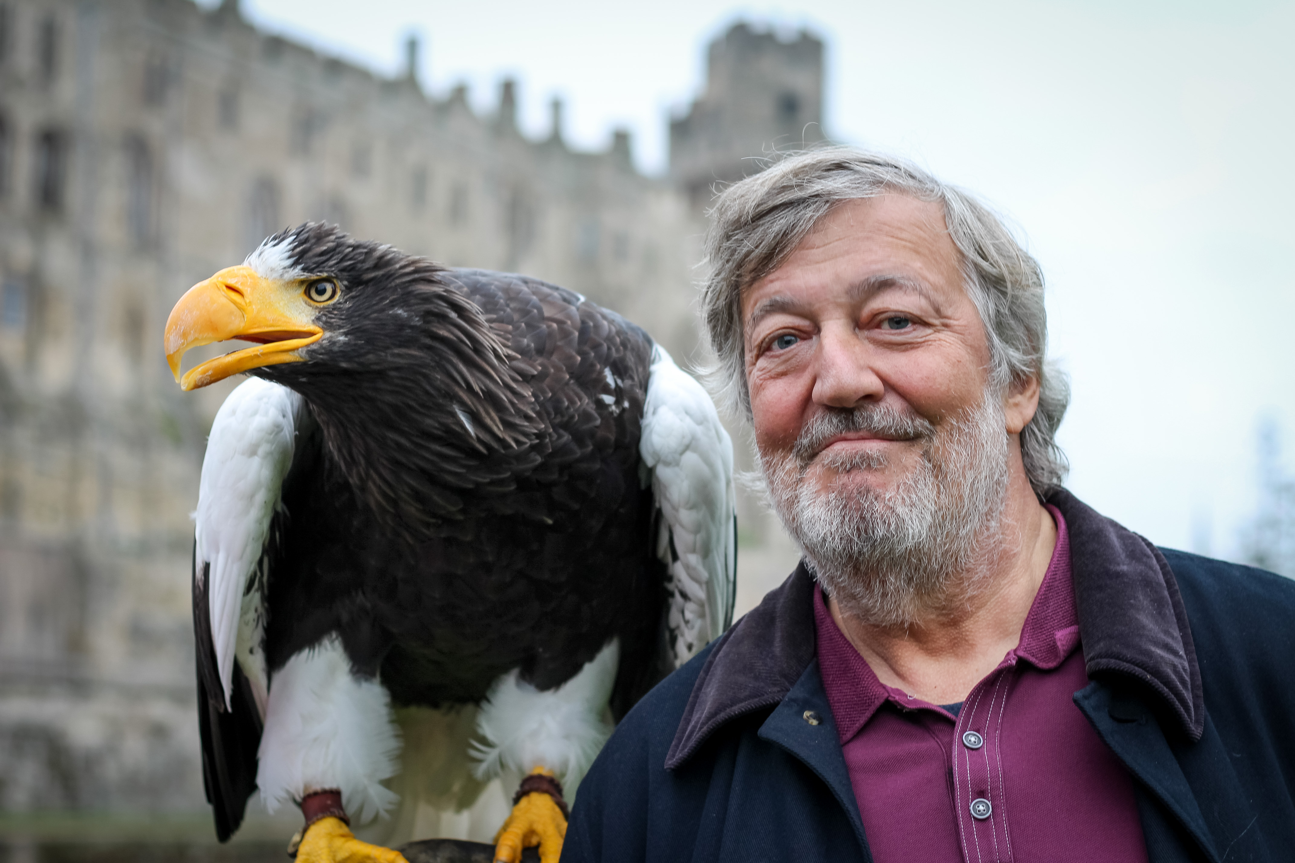 TV tonight Stephen meets fierce creatures