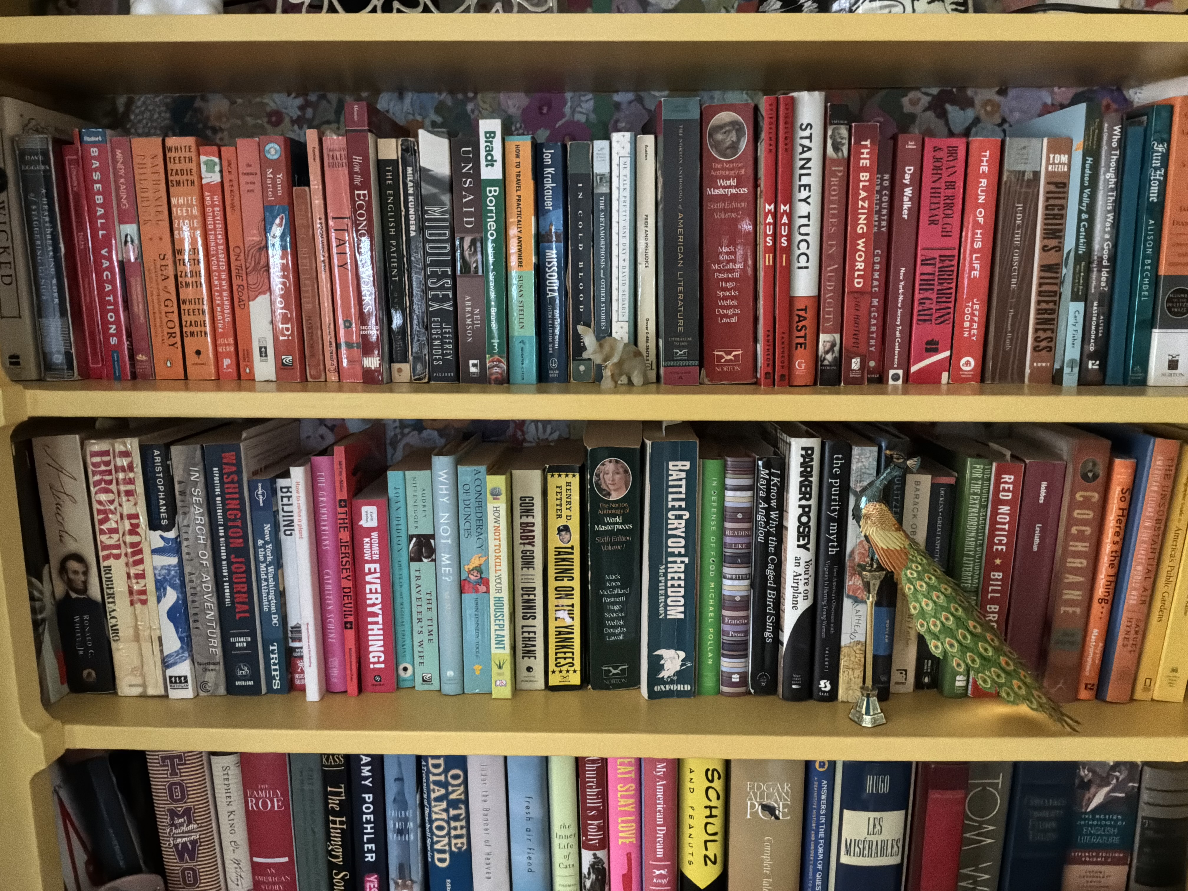 a photo taken with the iPad M4's rear camera