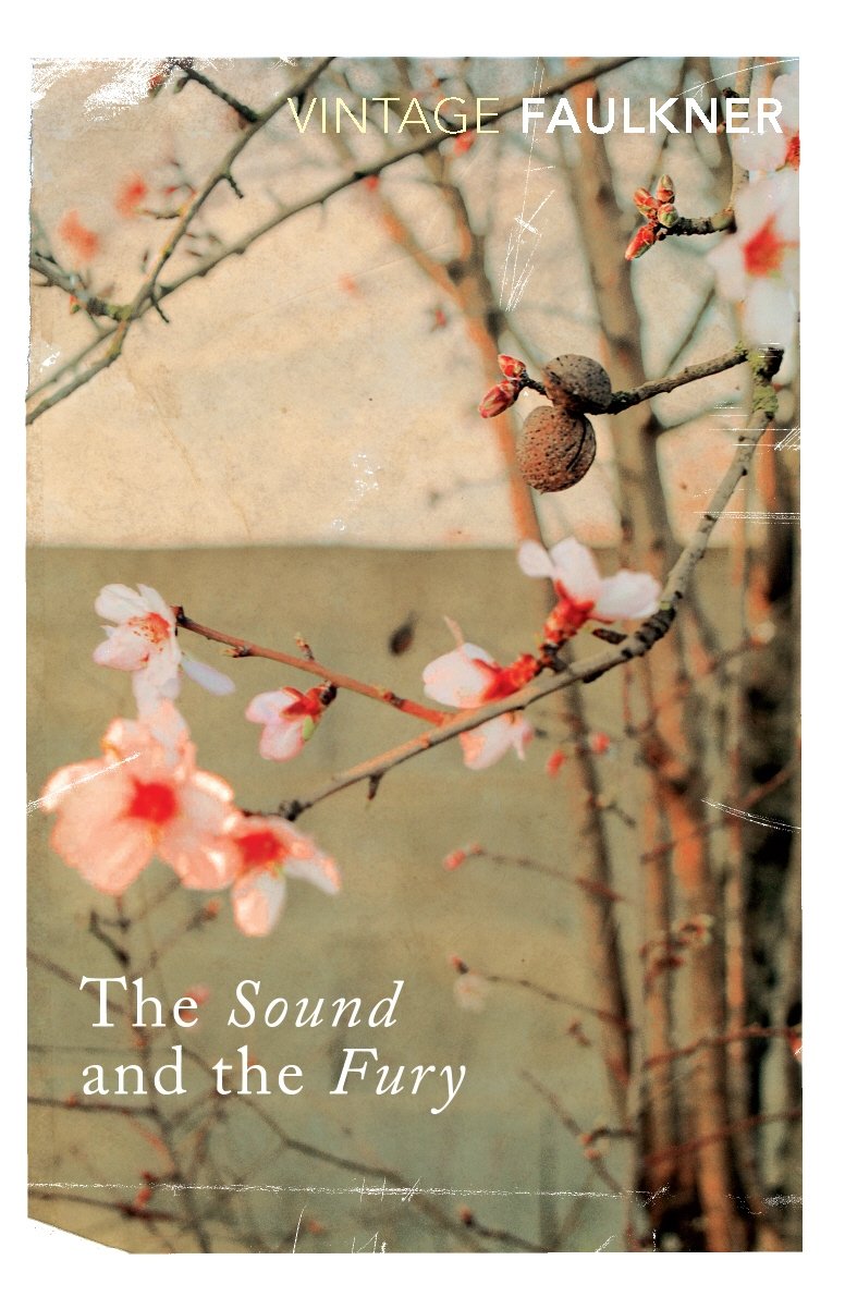 The Sound and the Fury (vintage Classics)