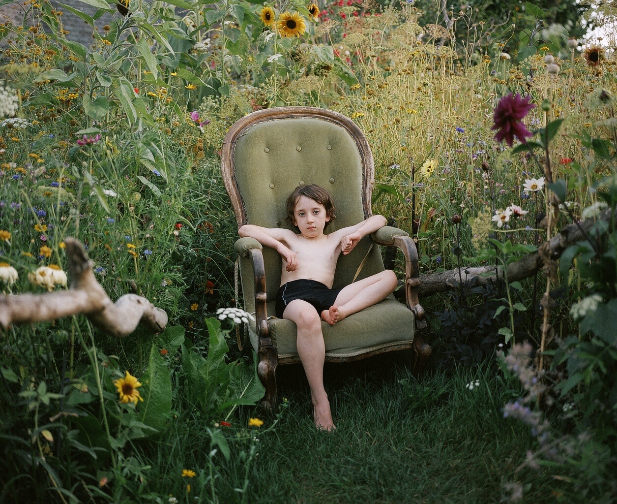 people in garden
