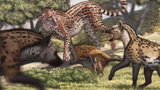 Impressão artística da espécie extinta de chita gigante Acinonyx pleistocaenicus caçando
