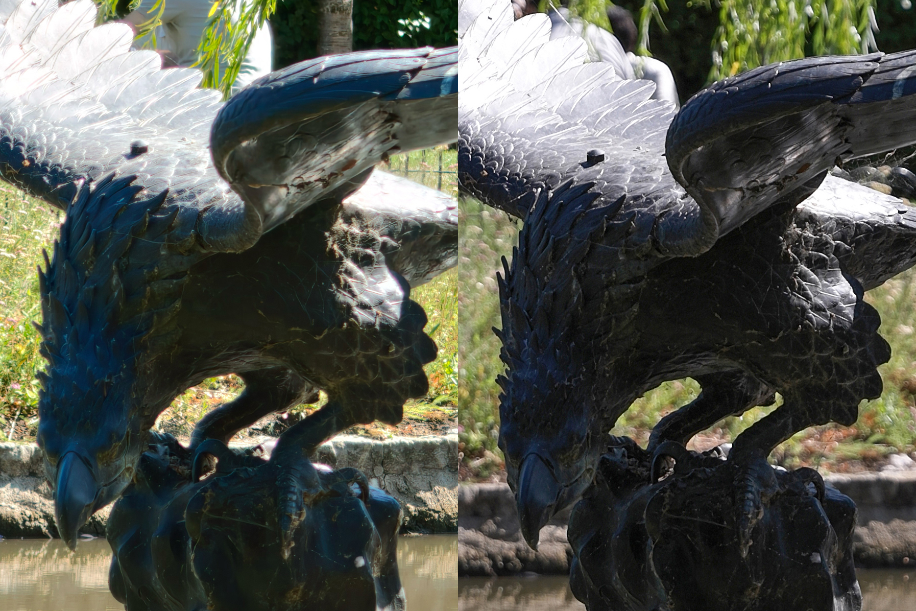 Comparison images taken on the Oppo Find X9 Ultra and the Hasselblad X2D II 100C