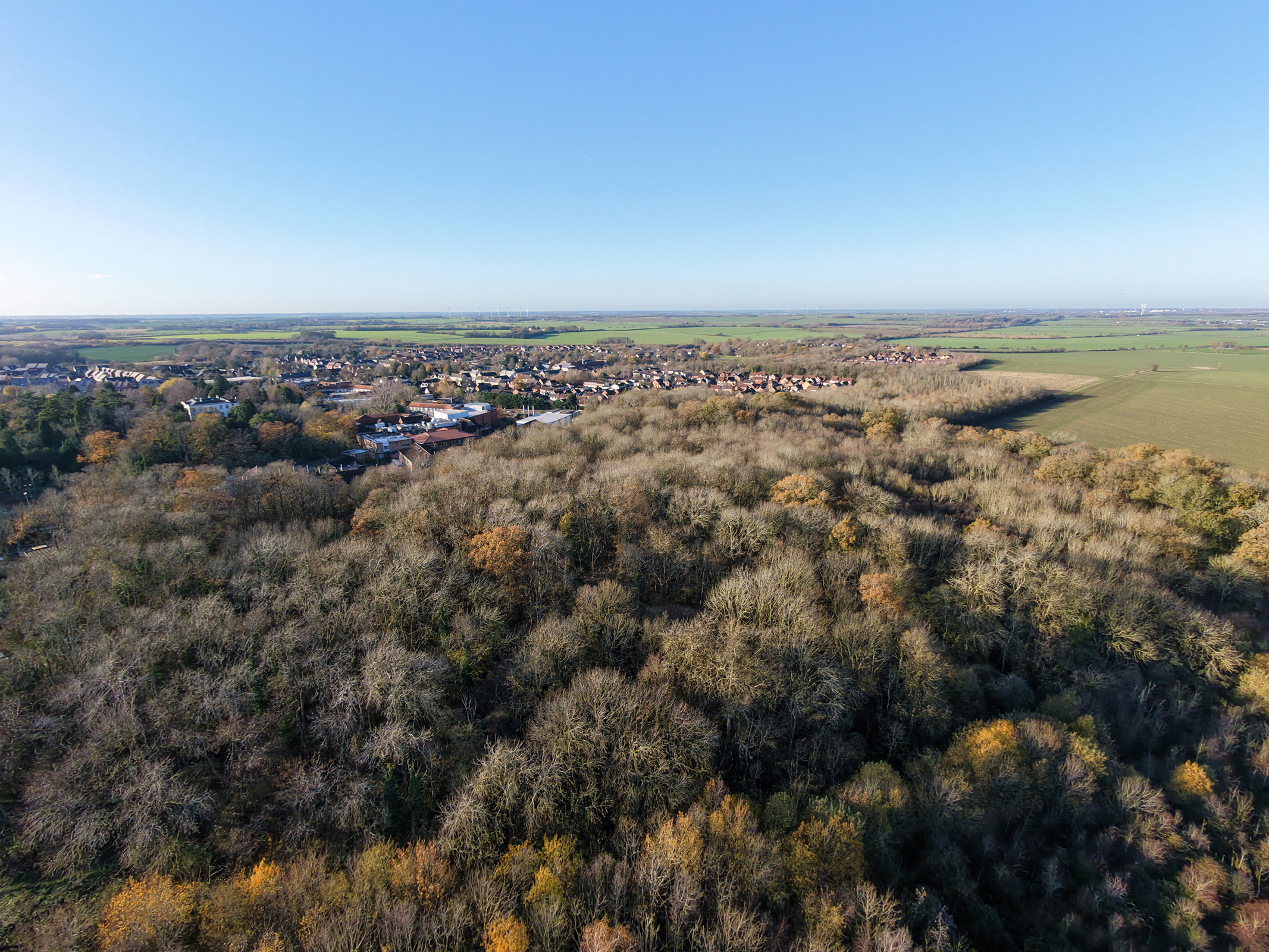 Photo of a forest on the edge of a village taken with the DJI Neo 2 drone