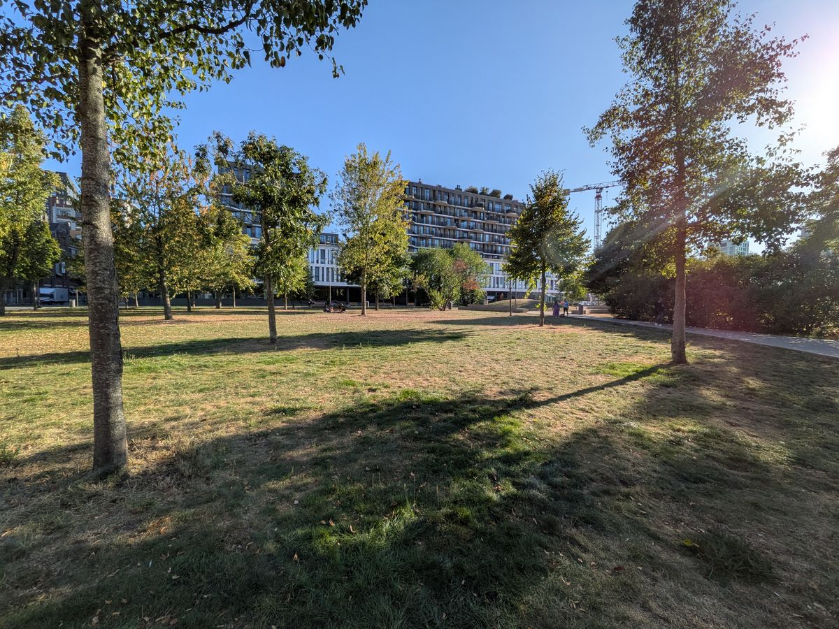 Google Pixel 10 voorbeeldfoto