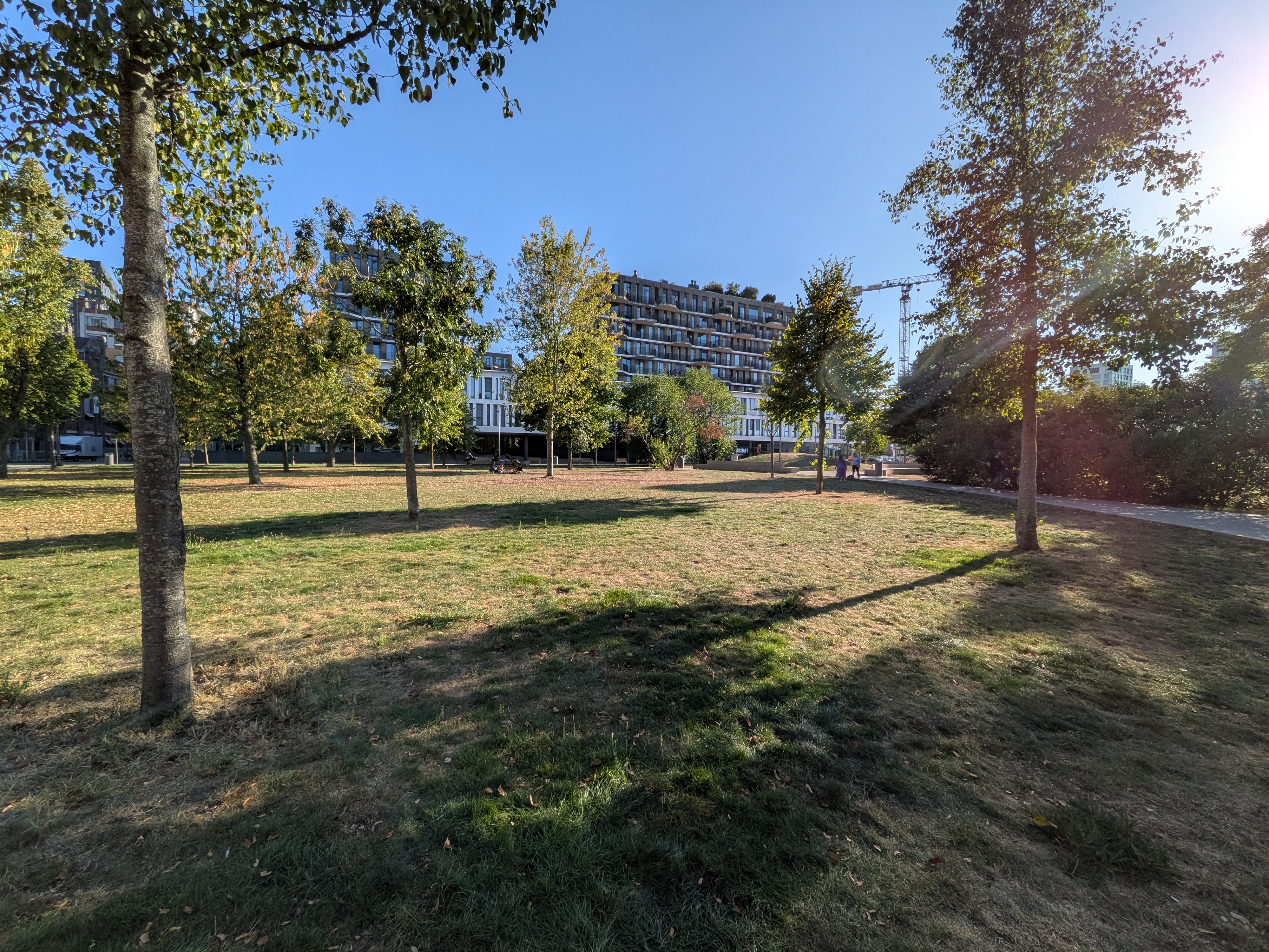 Google Pixel 10 voorbeeldfoto