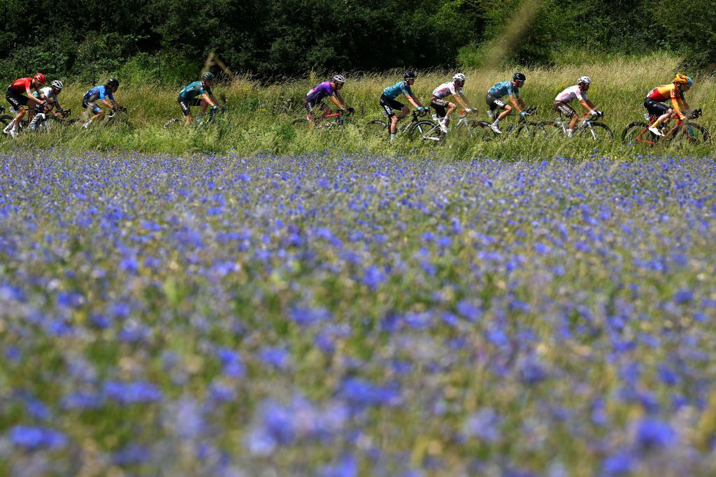 AUTERIVE FRANCE JUNE 19 Maxime Chevalier of France and Team BB Hotels PB KTM Valentin ParetPeintre of France and AG2R Citren Team Cyril Barthe of France and Team BB Hotels PB KTM Andrea Vendrame of Italy and AG2R Citren Team and a general view of the peloton passing through a flowered landscape during the 46th La Route dOccitanie La Depeche du Midi 2022 Stage 4 a 1883km stage from Les Angles to Auterive RDO2022 on June 19 2022 in Auterive France Photo by Dario BelingheriGetty Images