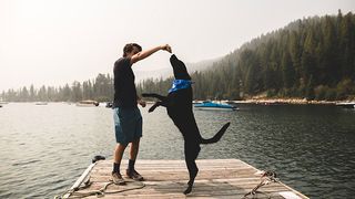 Dog being given a dog treat by a lake