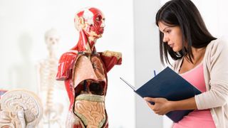 photo of a student holding a pen and notebook as she looks at a 3D model of the systems of the human body