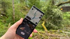 AllTrails app used on a hike