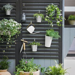 black trellis with pot plants and tools hanging from it