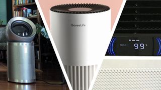 Expert-recommended air purifiers for people with seasonal allergies