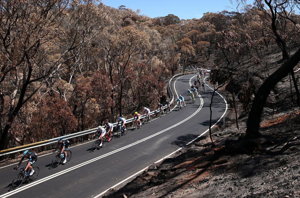 Burnt out areas like this are a reminder of how devastating bush fires can be