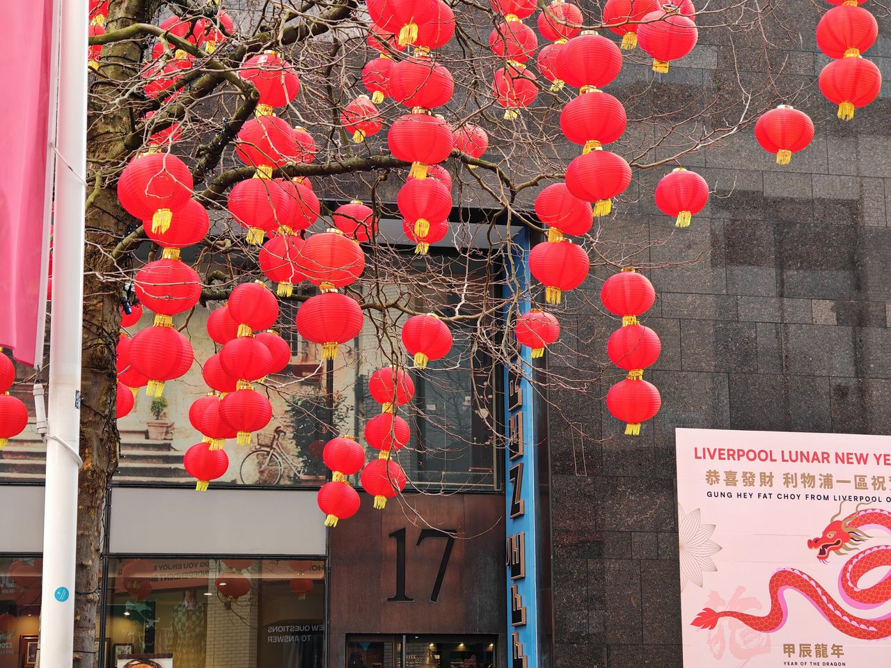 Honor Magic6 Pro Camera Samples (Tree with Chinese lanterns at 2.5x zoom, daytime, Liverpool, United Kingdom )