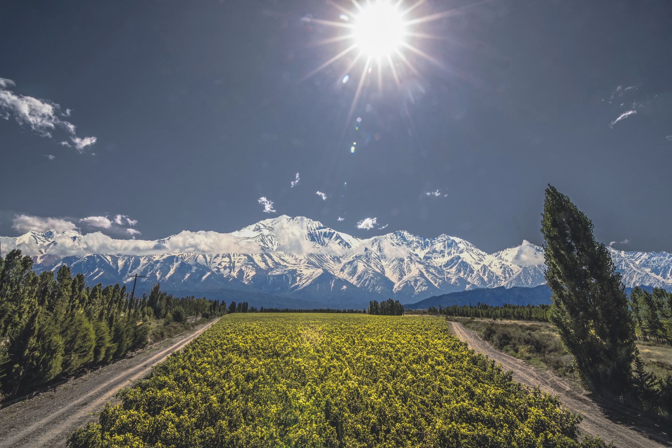 Catena Zapata Tupungato vineyards
