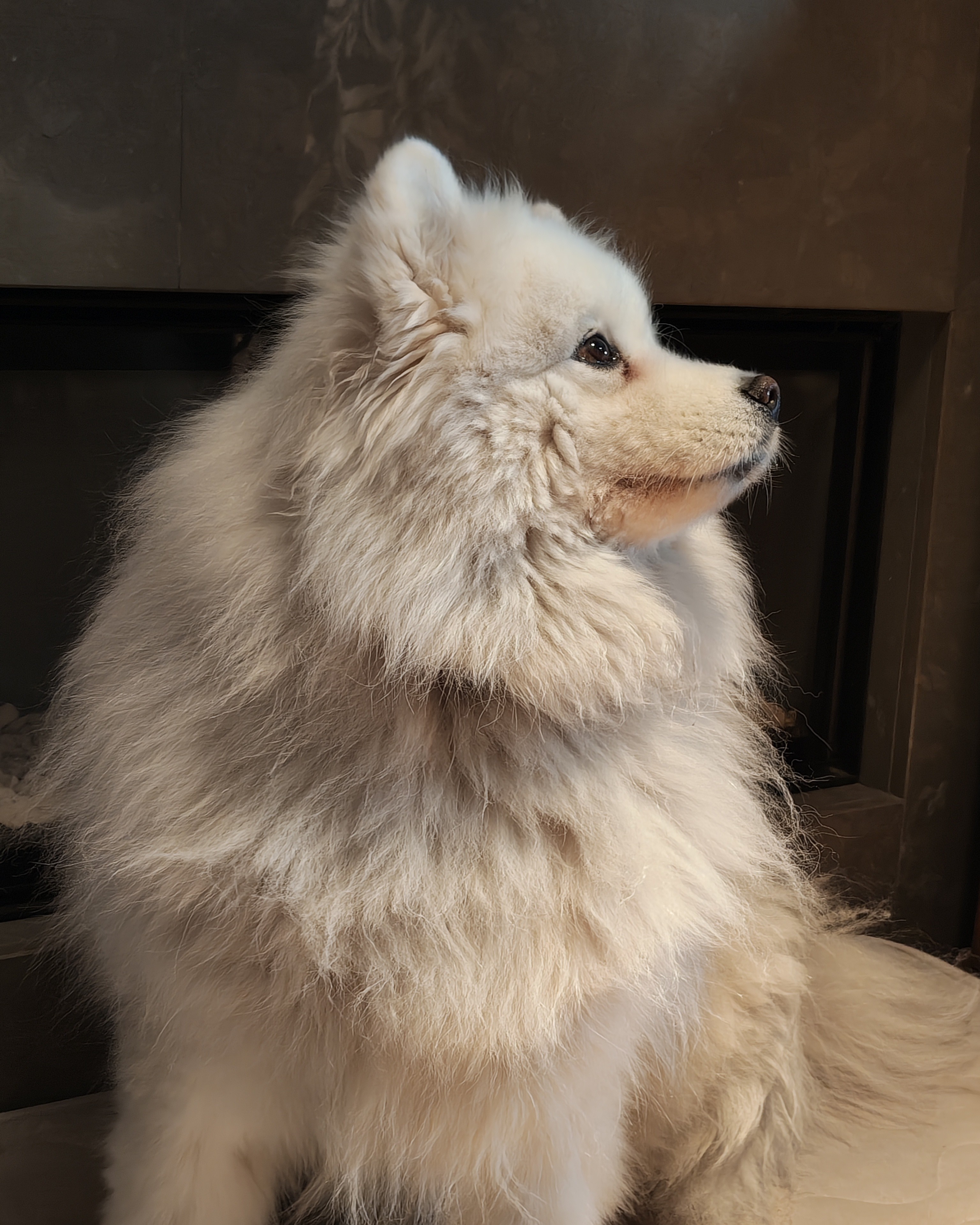 Nothing Phone (4a) Pro voorbeeldfoto