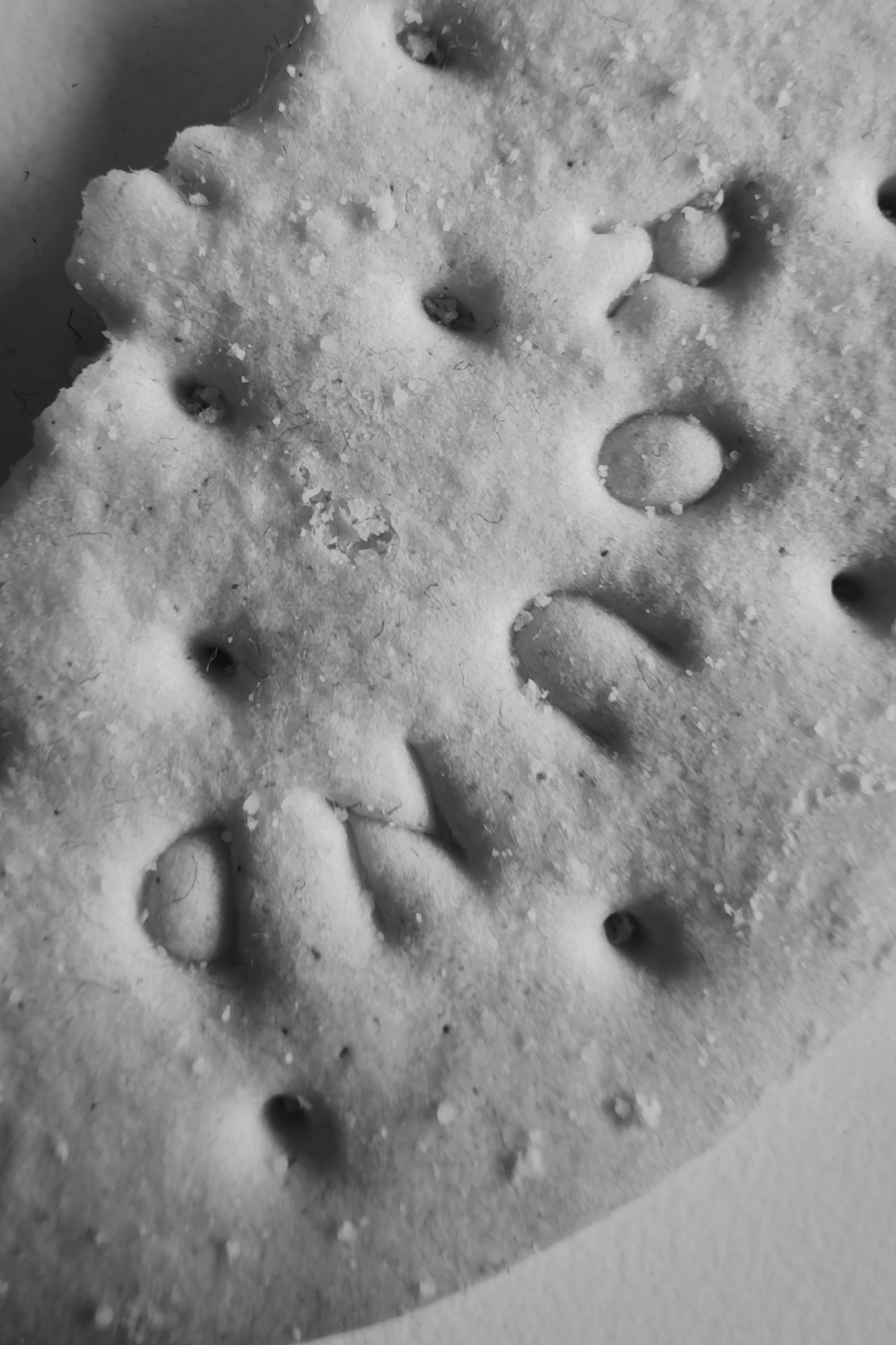 Leica Q3 Monochrom vs Leica Leitzphone macro comparison