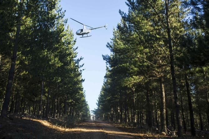 The chopper during stage 4