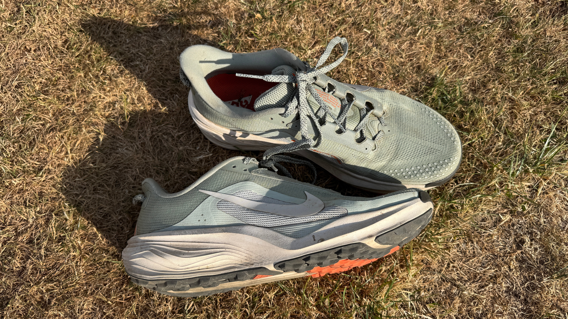 Nike ACG Pegasus Trail
