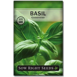 Sow Right Seeds - Genovese Sweet Basil Seed for Planting - Heirloom