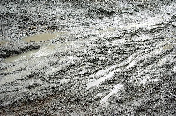 Belgian MUD!