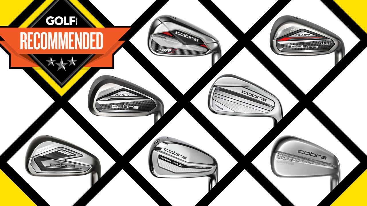 Best Cobra Golf Irons