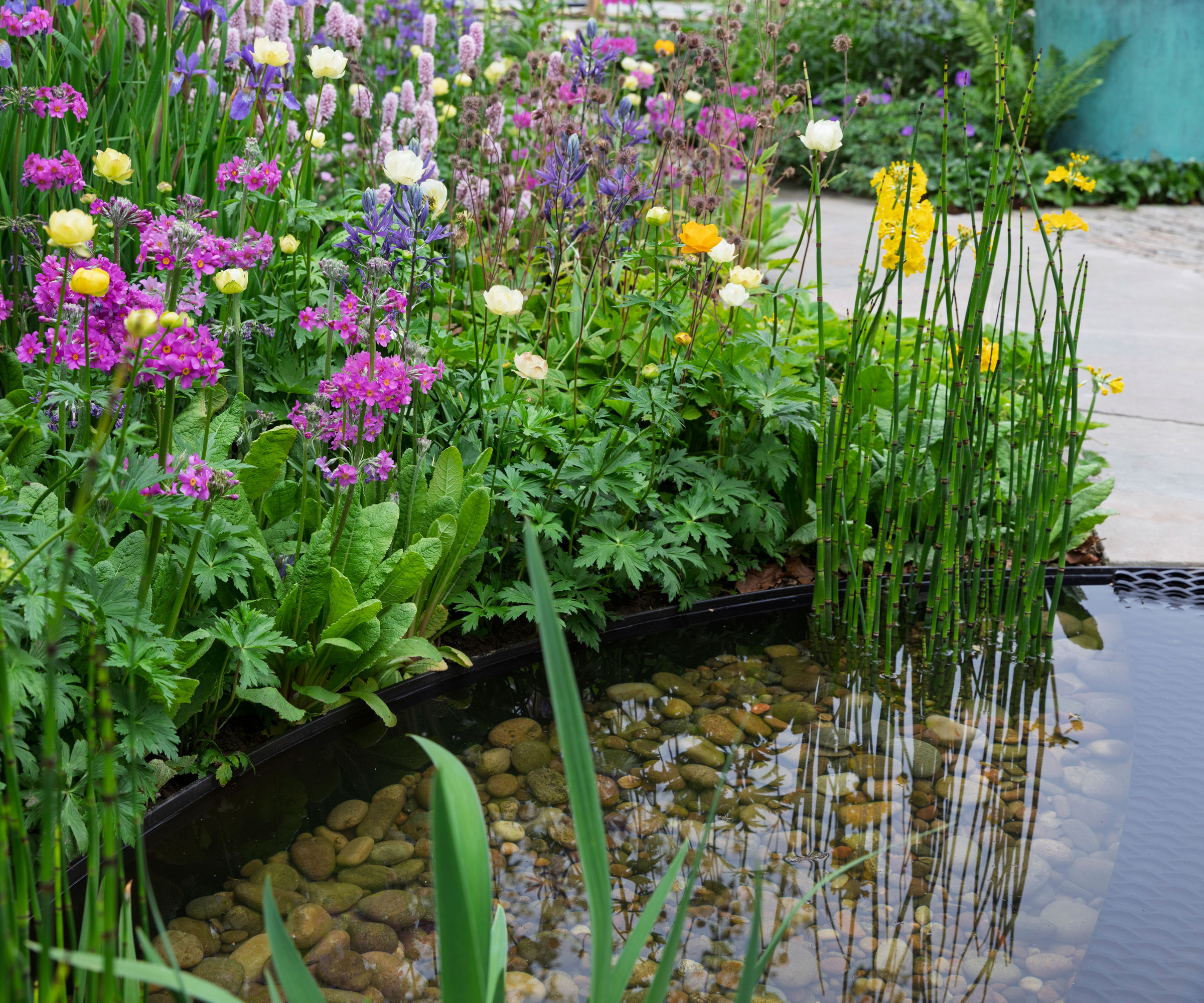 circular pond design with pebbles and planting
