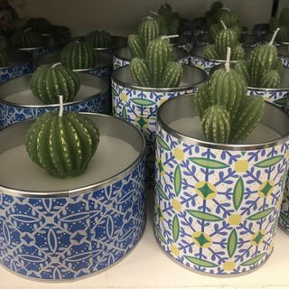candle with cactus shaped on can