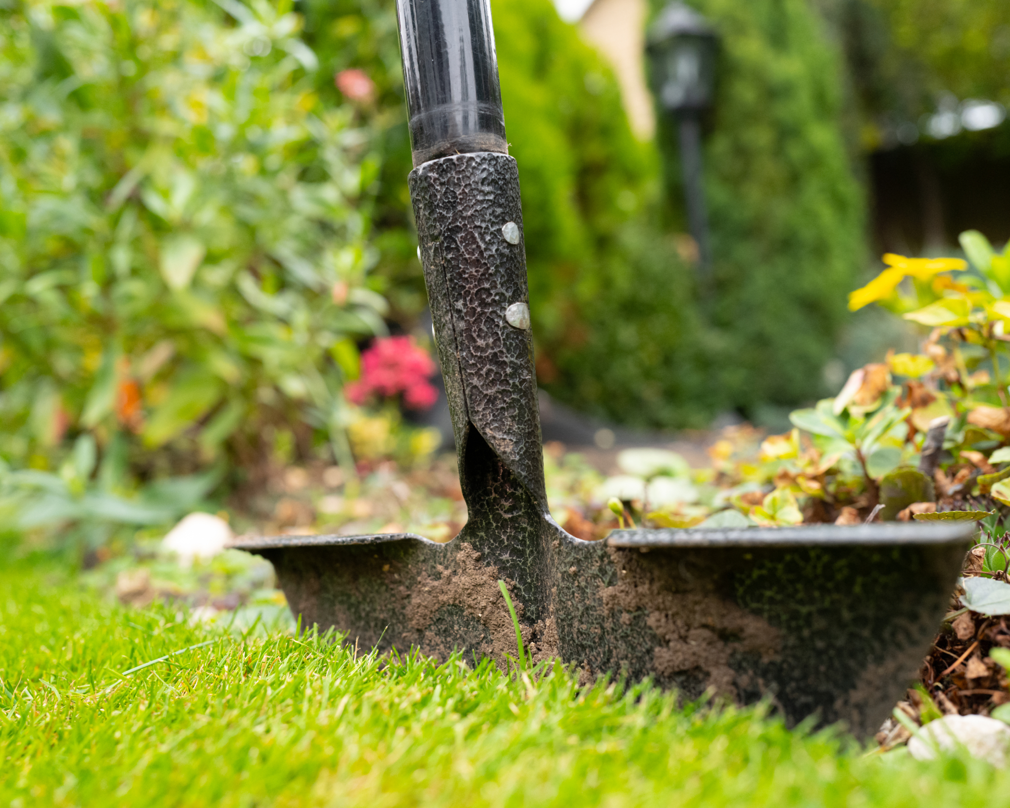 lawn edger used to edge garden lawn