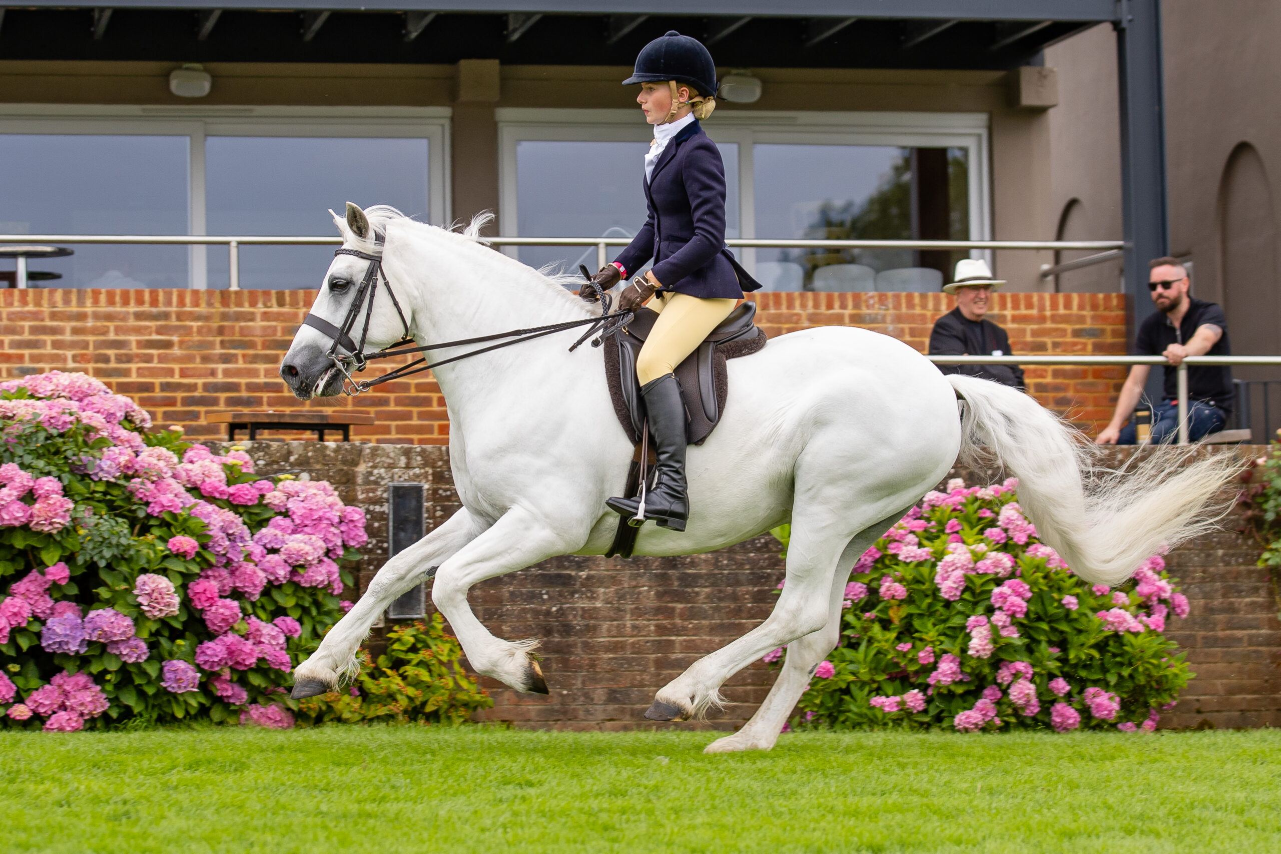 Harlow White and Bunowen Castle Ali give a gallop in the UK P&amp;amp;H championship at the 2025 Royal International