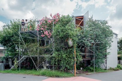 Daita2019, Suzuko Yamada, Setagaya, Tokyo, 2019, part of Living in a Japanese House book