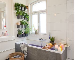System of self watering planters attached to a bathroom wall