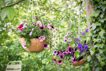 Rented garden ideas – 10 ways to make your backyard your own | Livingetc