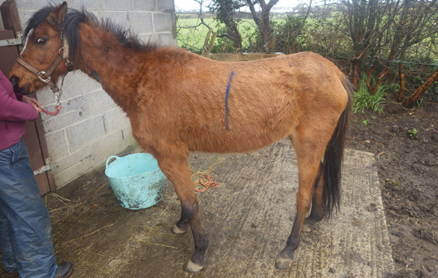 Lottie, before