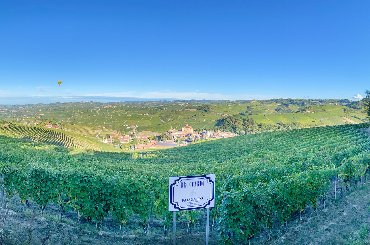 Broccardo vineyards in Barolo