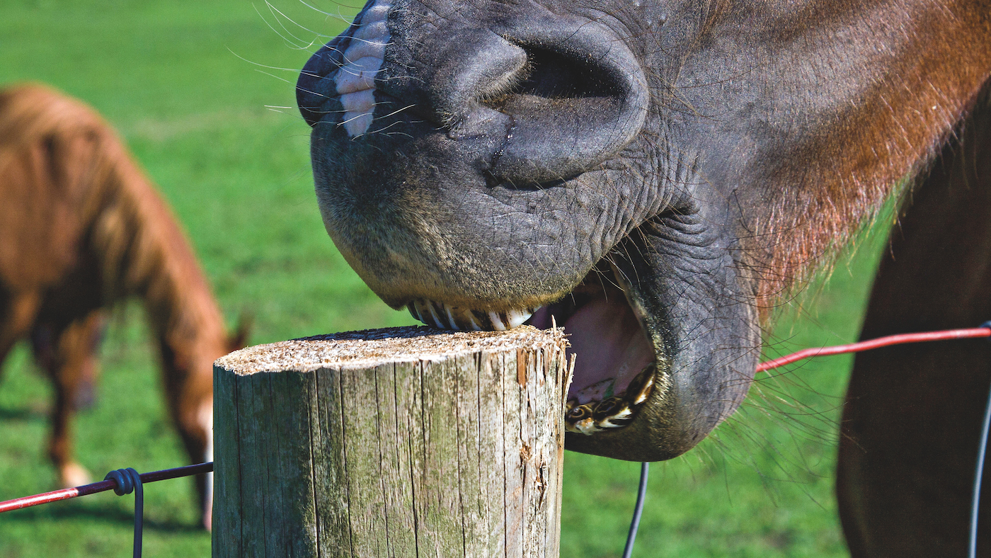 D6PC0B-alamy.jpg