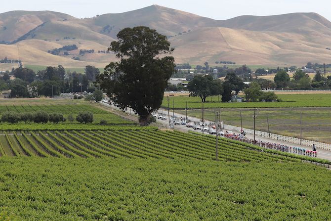 Stunning views between Stockton and Morgan Hill on stage 3 of the 2019 Tour of California