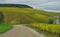 Grand cru Chablis 2019
