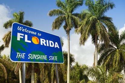 Welcome to Florida sign with palm trees in the background. 