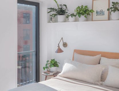 A neutral bedroom with cream pillows and bedding and a shelf with plants over the headboard