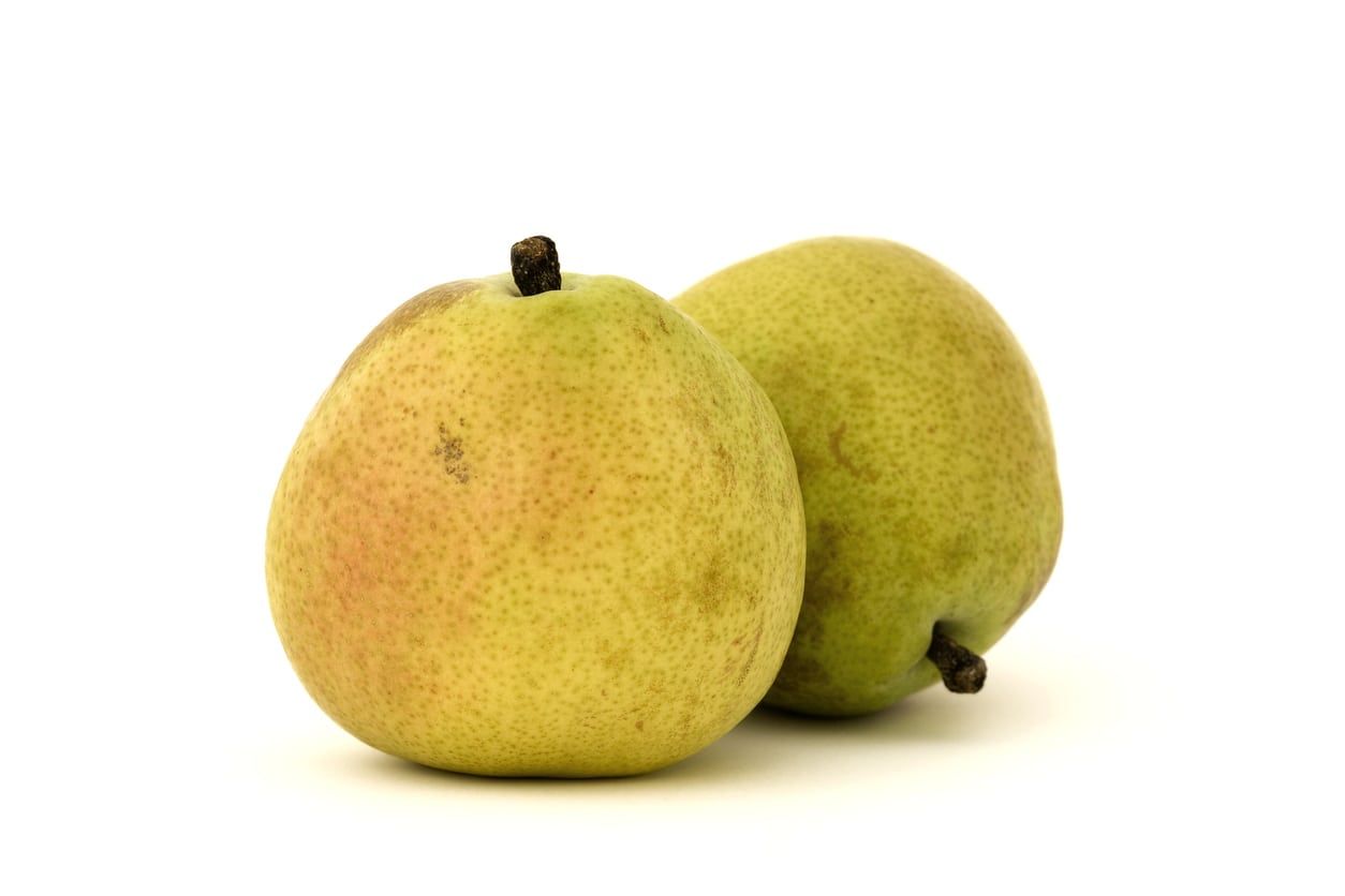 Two D&amp;#39;Anjou Pears