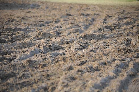muddy conditions