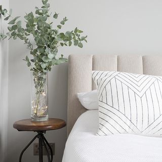 bedroom with white wall and plant with glass jar and cushions on bed